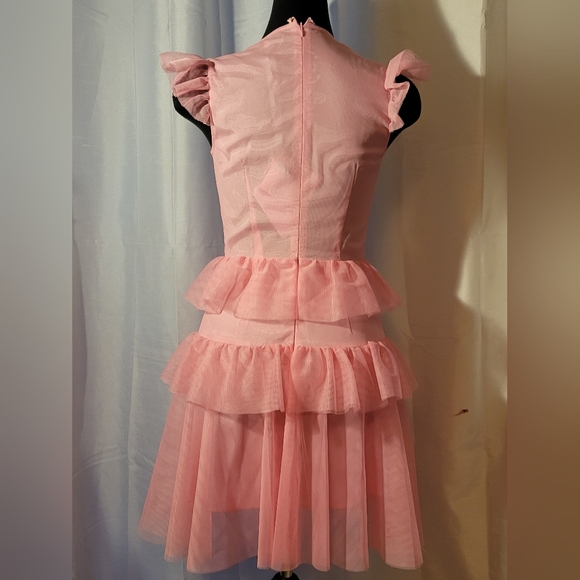 EWA HERZOG Designer Pink Multi Layer Tulle Dress Final Discount - Picture 8 of 12